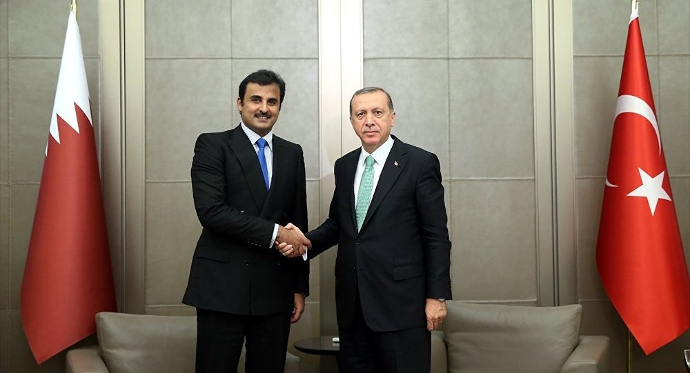 الرئيس التركي رجب طيب أردوغان وأمير قطر