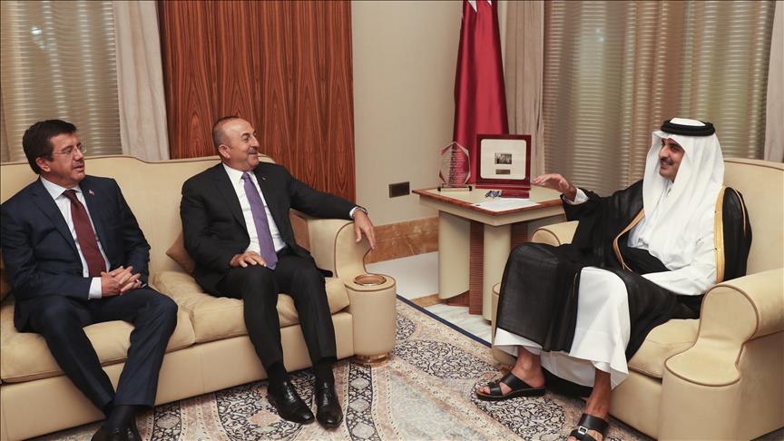 وزيري الخارجية والاقتصاد التركيين يجريان محادثات مع أمير قطر