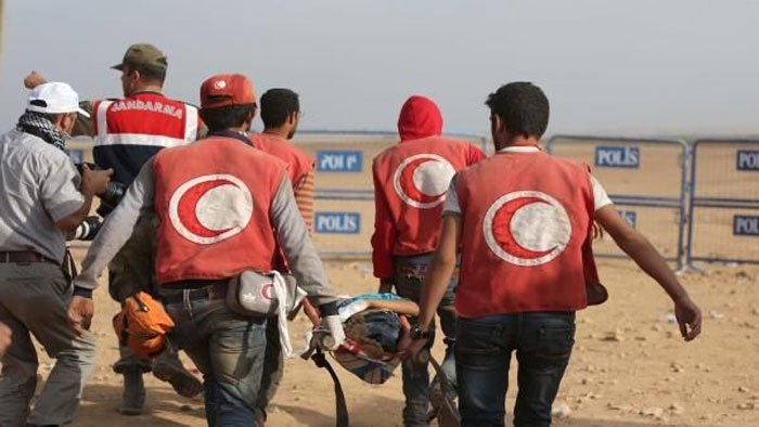 الأفاعي والعقارب … خطر داهم يهدد مخيمات للسوريين في تركيا