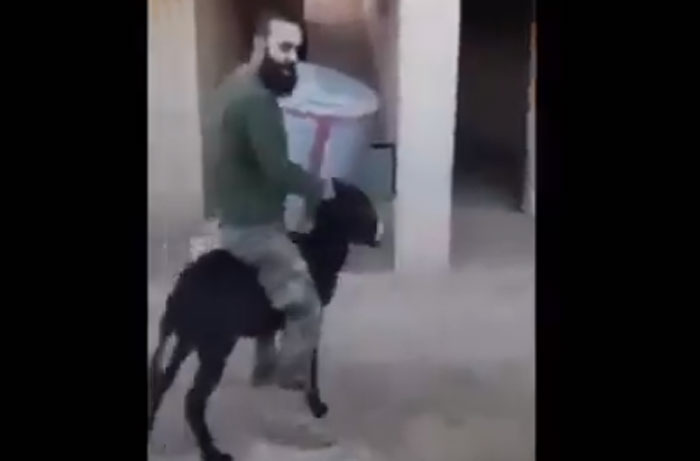 ردود فعل غاضبة على مقطع فيديو يظهر تعذيب أحد جنود الأسد “حمار صغير” ومعلقون يعزونها إلى خلافات عائلة