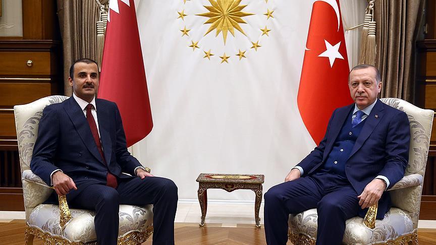 أردوغان وأمير قطر يبحثان قضايا إقليمية وثنائية في أنقرة