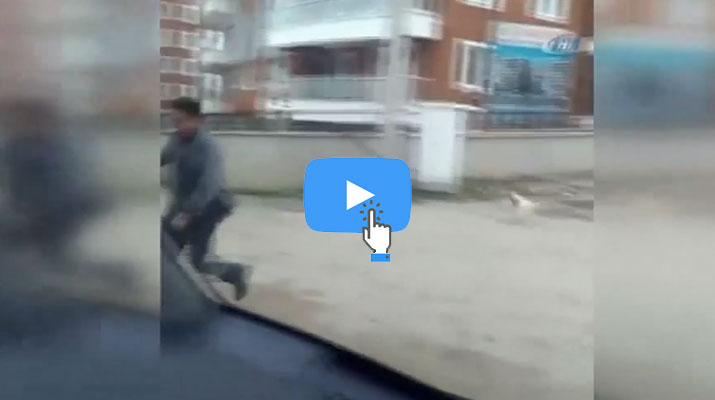 شاهد بالفيديو: تركي يهرب من”دجاجة” تلاحقه بإصرار