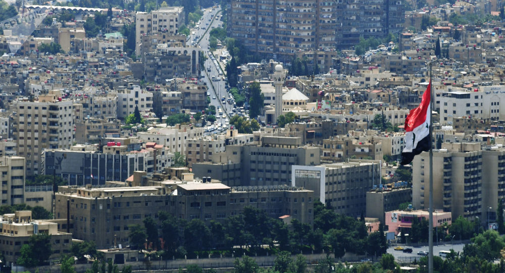 الحشر ات في دمشق (صور)