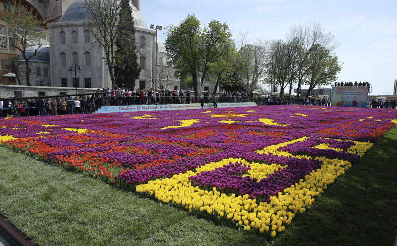 من أين تأتي الأزهار والورود التي تزين حدائق إسطنبول؟