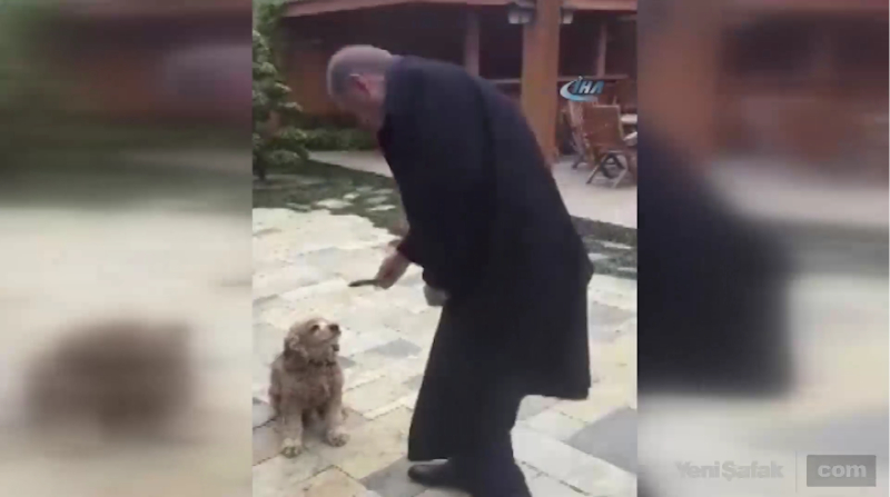 فيديو لأردوغان وهو يطعم كلبًا صغيرًا بيده ويداعبه يحصد الاف المشاهدات خلال ساعات