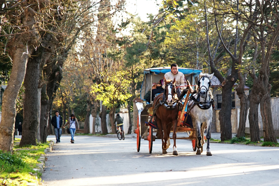 بالصور: بلدية اسطنبول تستخدم الحافلات الكهربائية بدل الخيول