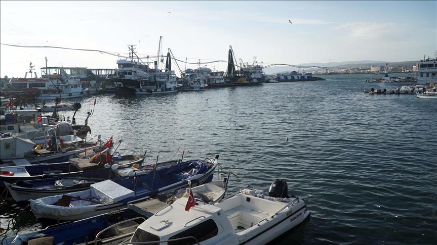 صيادون على سواحل إسطنبول.. تعددت الأهداف والرزق واحد