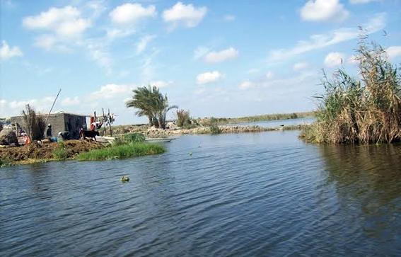 وسائل إعلام: مصر باعت إحدى بحيراتها لدولة عربية.. والحكومة ترد