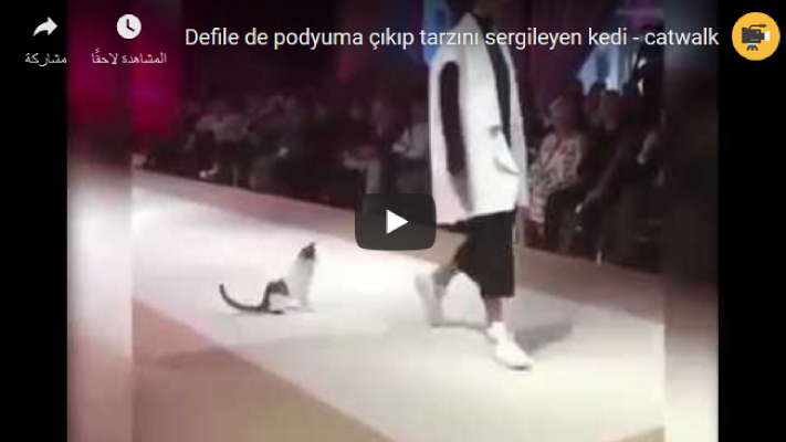 إسطنبول: وسط ضحك الجمهور .. قطة تقتحم عرض أزياء وتسرق الأضواء من العارضات (شاهد)