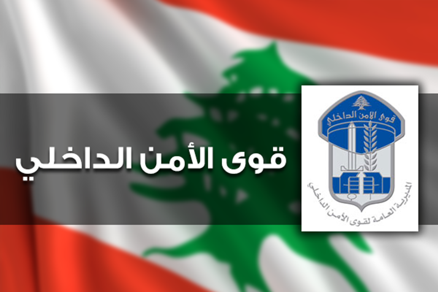 الأمن اللبناني وعائلة سورية (فيديو)