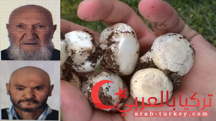 فطر سام