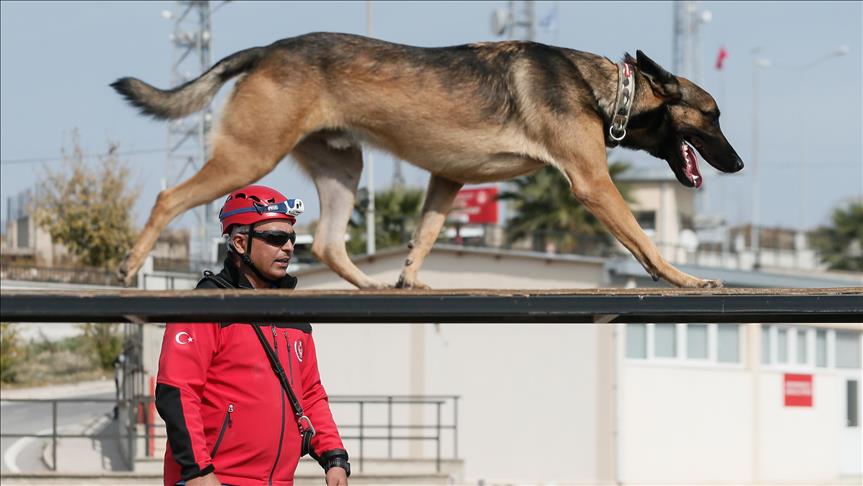 مواطن تركي يدرب فرق إنقاذ من الكلاب