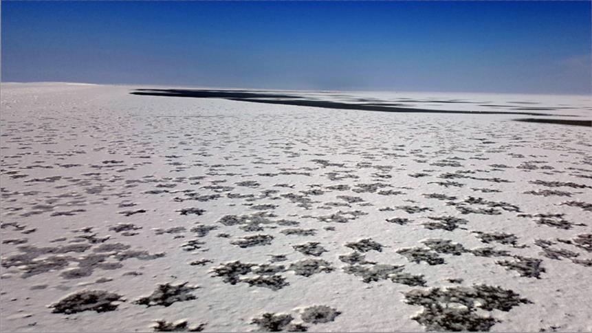 بحيرة “سيفة” التركية.. الجليد يكسو جنة الطيور