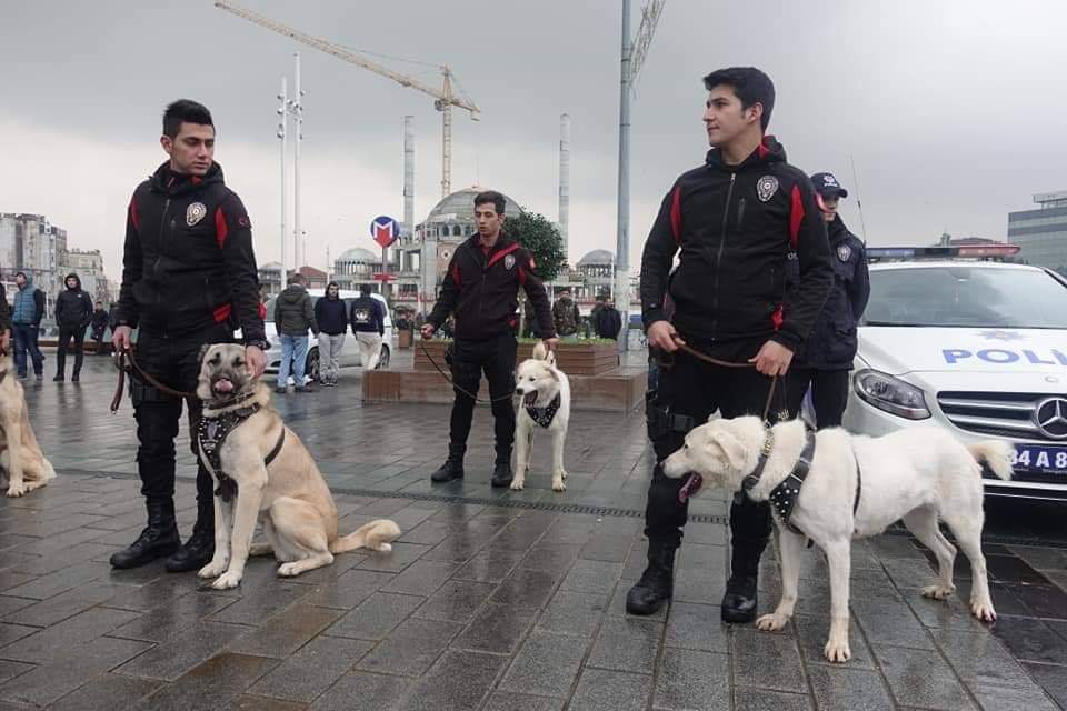 هذا ما قامت به الشرطة والأمن التركيين في مدينة إسطنبول خلال احتفالات رأس السنة