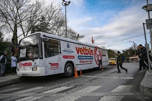 إسطنبول تطرح خدمة “الحافلة البيطرية” للعناية بحيوانات الشوارع