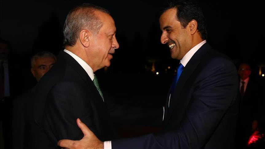 الرئيس أردوغان يهنئ أمير قطر بفوز منتخب بلاده بكأس آسيا