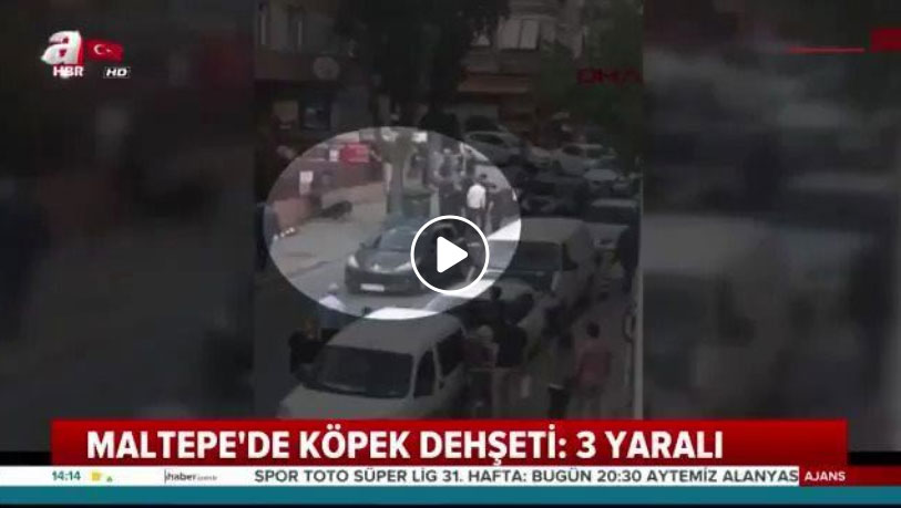 كاميرات مراقبة تسجل قيام كلب بتخو يف الناس في إسطنبول