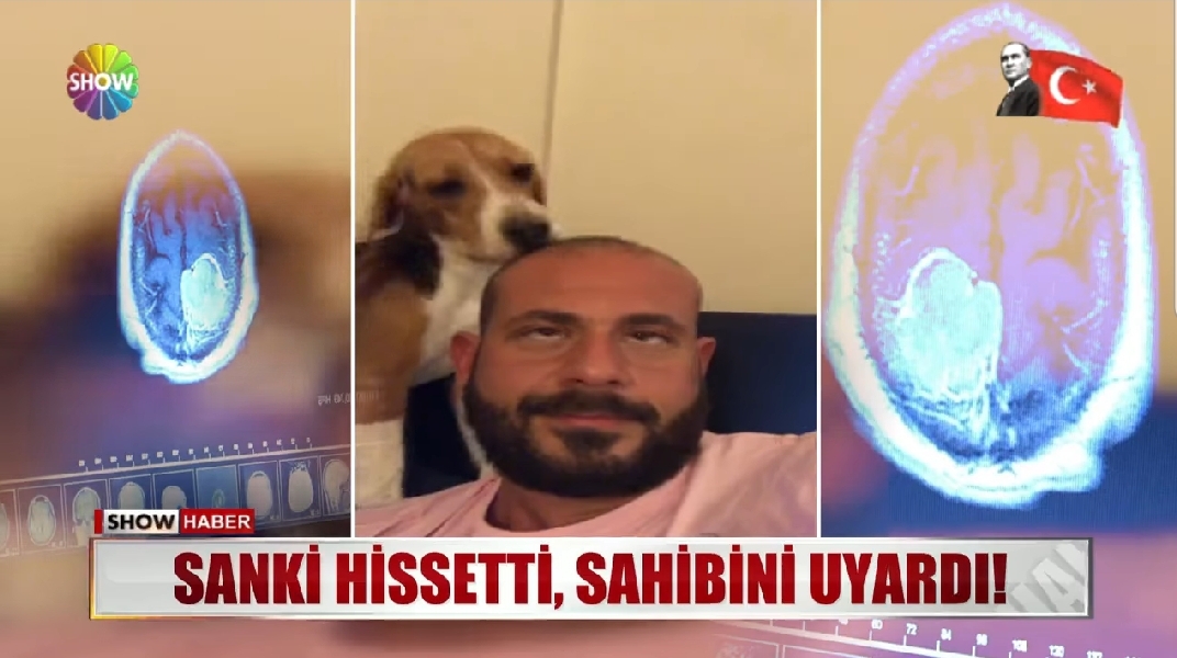 تركيا: كلب يكشف مرض صاحبه مبكرا