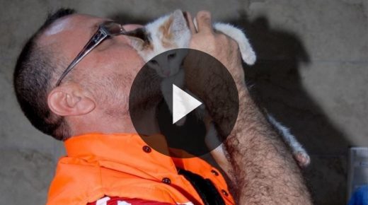 إسطنبول: عامل بلدية ينقذ قطة صغيرة من خلال إجراء تنفس إصطناعي لها (فيديو)