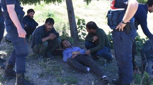 السلطات التركية تعثر على 13 مهاجر بين الأحراش (فيديو)