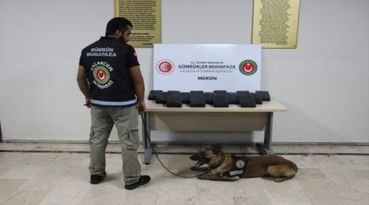 السلطات التركية تحبط محاولة إدخال 24 كيلو غراماً من الكوكايين