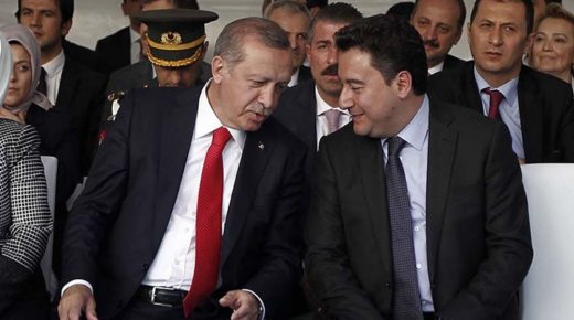 صحفي تركي: أردوغان” يخطط للاجتماع مع “علي باباجان” لهذا السبب