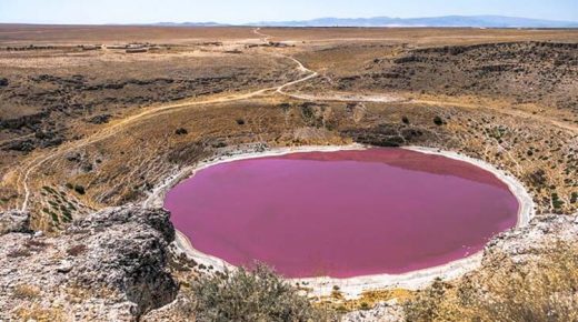 بالفيديو: وكأنه تم تلوينها… تحول بحيرة إلى اللون الوردي في قونية