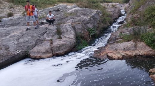 تلوث نهر في كوجالي بالنفايات السامة يقضي على الحيوانات ويهدد البشر