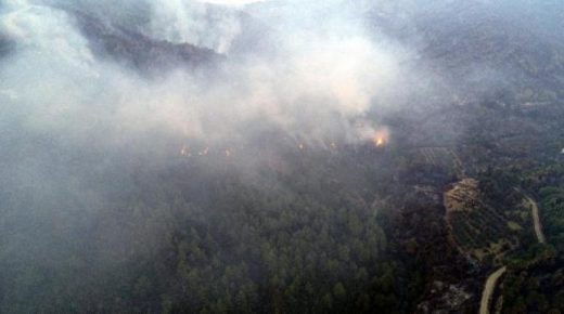 كارثة الحرائق مستمرة في هاتاي وتعزيزات جديدة من الولايات التركية تصل المكان
