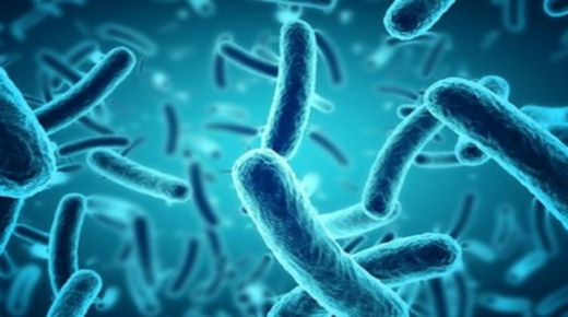 “بكتيريا خارقة” أخطر من كورونا تهدد حياة الملايين