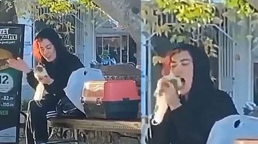امرأة تركية تقوم بعـ.ـ ض رأس فأر الهامستر في أحد شوارع ولاية أنطاليا (فيديو)