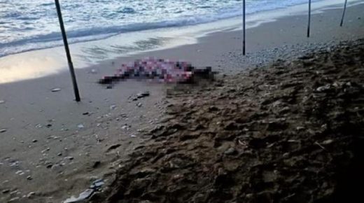 السلطات التركية تعثر على جـ .ـثة سوري على شواطئ موغلا