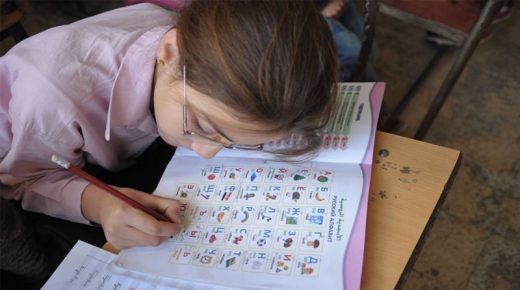 تربية النظام: 31 ألف طالب يتعلمون اللغة الروسية في 217 مدرسة (فيديو)