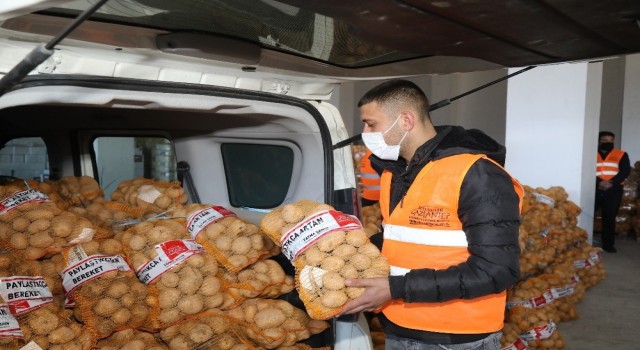 بلدية غازي عنتاب توزع 750 طناً من أكياس البطاطا على السكان (صور)