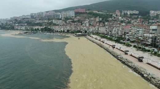 البحار تفـ.ـ قد الأوكسجين… المركز الإنمائي التركي يطلق نداء عاجل لإنقاذ البحار في تركيا