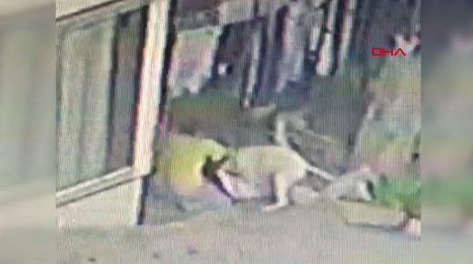 بالفيديو: كلاب ضـ.ـ الة تـ.ـ هاجم فتاة تركية وتتسبب لها ب56 قطبة في اسطنبول