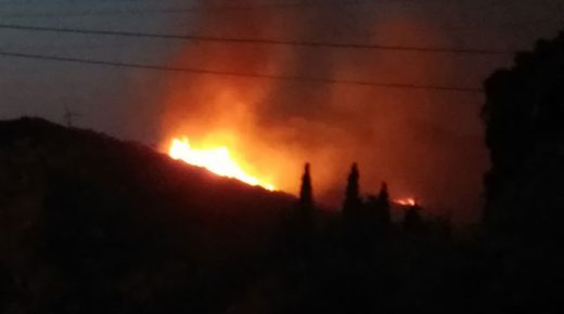 حريق غابات جديد في بودروم