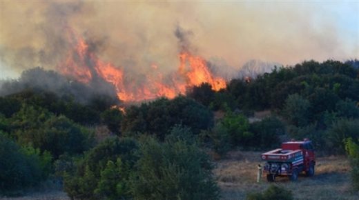 أضنة تحترق… النيران تأكل الغابات في منطقتين (صور)