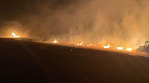 اندلاع حرائق ضخمة في الأراضي الزراعية بولاية اسطنبول