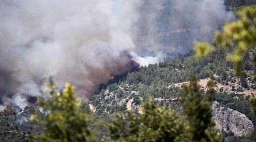 تصريح من وزير الغابات حول الأضرار الجسيمة بسبب الحرائق الأخيرة