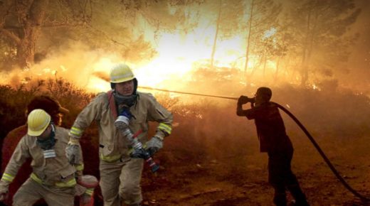 وزارة الغابات تعلن السيطرة على 160 حريقاً حتى اللحظة
