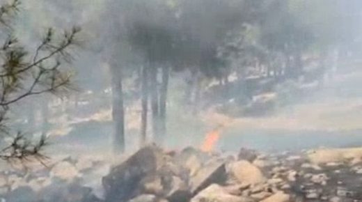 اندلاع حريق كبير قرب الحدود السورية مع تركيا