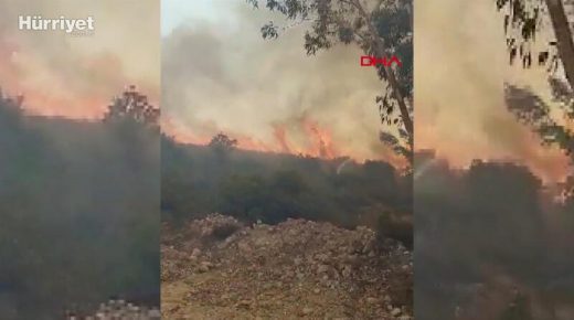 حريق جديد يجتاح المناطق الزراعية في بودروم
