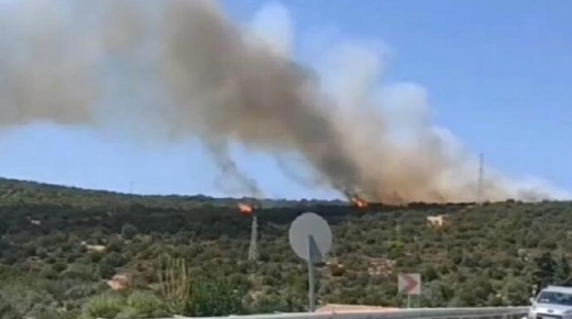 وزارة الغابات تعلن السيطرة على حريق إزمير