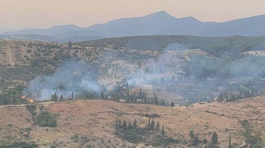 الحرائق تعود تدريجياً… حريق غابات جديد في إزمير