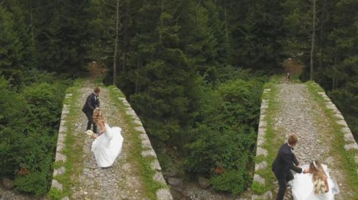 كلب يطـ.ـ ارد عروسين تركيين أثناء جلسة تصوير زفافهما داخل الغابة في ولاية ريزا (فيديو)