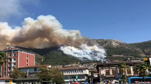 وزارة الغابات تعلن السيطرة على حرائق أنطاكيا