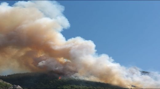 بالفيديو: حريق كبير يدمر المساحات الخضراء في جبال مدينة أنطاكيا