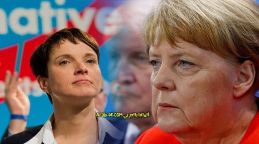 حزب البديل من أجل ألمانيا