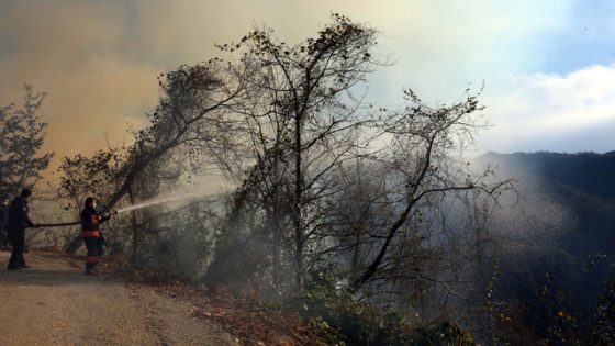 4 حرائق غابات في طرابزون
